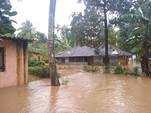 എല്ലാ കമ്പനികളും