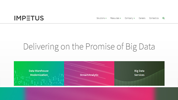 Impetus Infotech (റാങ്ക് 63)