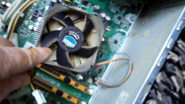  8. പൊടി ഒരു കാരണമാകുന്നു