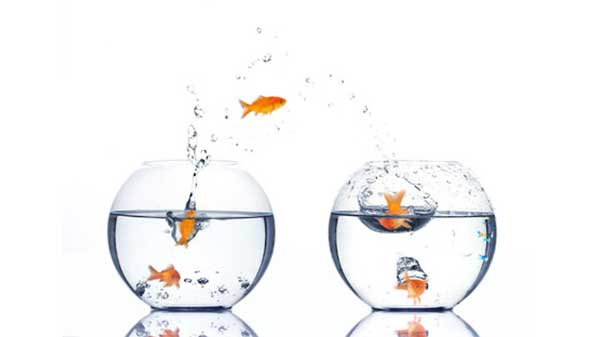  6. ഒരു സ്ഥലത്തു നിന്നും മറ്റു സ്ഥലത്തേക്കു പോകാന്‍