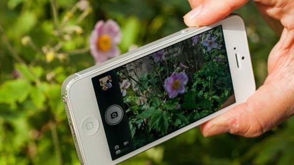 വോളിയം ബട്ടണുകൾ ഉപയോഗിച്ച് ചിത്രങ്ങൾ എടുക്കുക