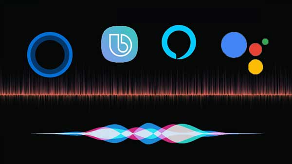 വോയിസ് അസിസ്റ്റന്റ്