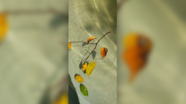 കുറഞ്ഞ പ്രകാശത്തില് എടുക്കുന്ന ഫോട്ടോകള്