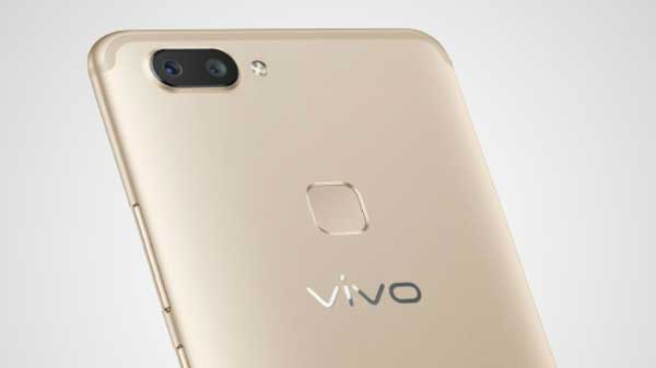 Vivo