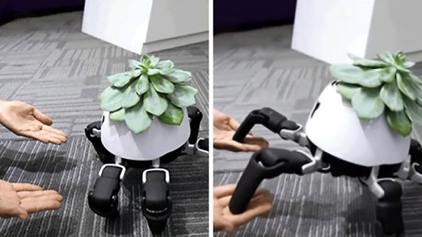 റോബോട്ടാണ് ഹെക്‌സാ