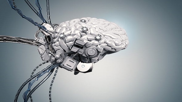 ബ്രെയിന്‍ സിസ്‌റ്റം ടു ട്രാന്‍സ്‌മിറ്റ്‌ ഓര്‍ റിസീവ്‌ മാഗ്നോ ഇലക്ട്രിക്‌ സിഗ്നല്‍സ്‌ 