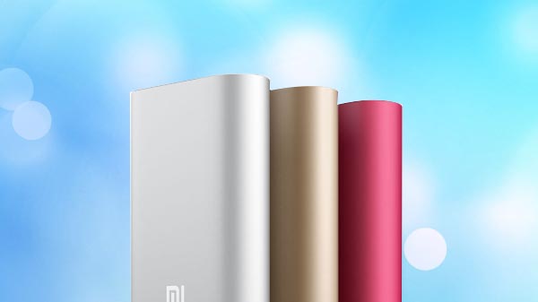 Mi 10000mAh Li-Polymer power bank 2i