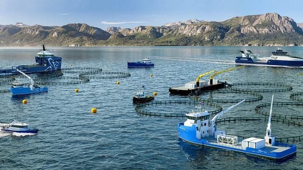 മത്സ്യകൃഷി