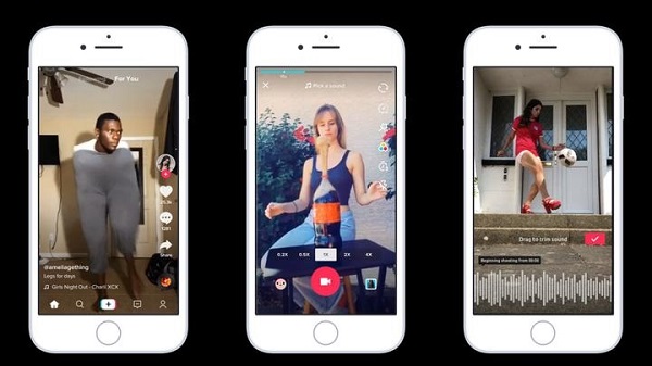 വരുമാനം നൽകുന്നു