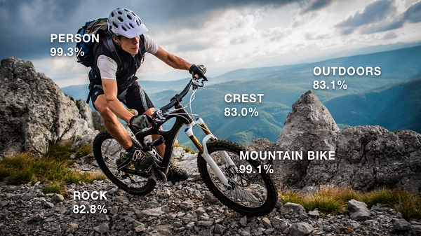 സോഫ്റ്റ് വെയറിനെതിരായ വിമർശനം