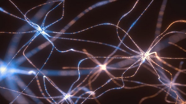 മസ്‌തിഷ്‌ക തരംഗങ്ങൾ