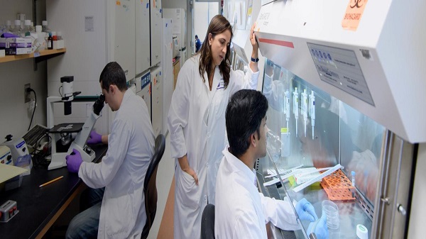 ന്യൂയോർക്ക് റിസർച്ച് സ്റ്റഡീസ് 