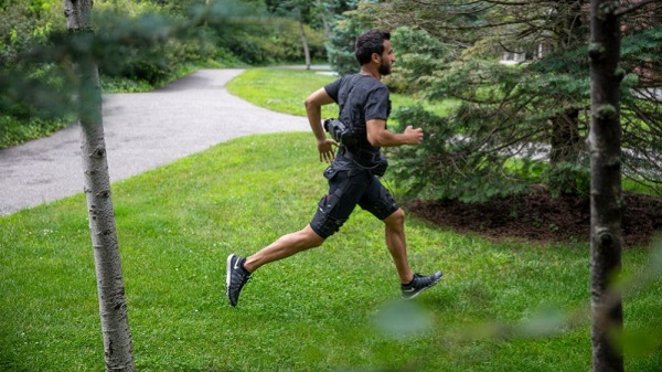 സോഫ്റ്റ് റോബോട്ടിക്സ്  