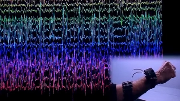 സുഷുമ്‌ന നാഡിയിൽ ന്യൂറോണുകൾ