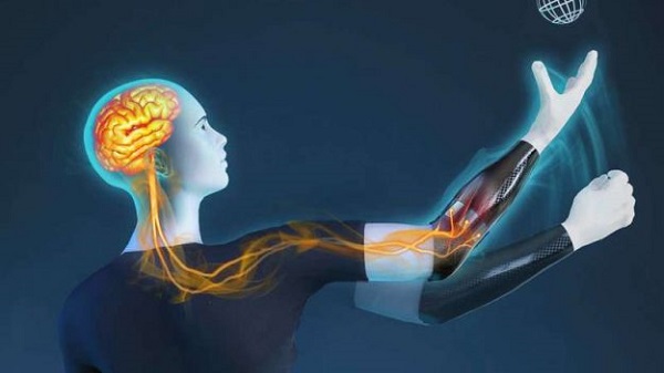 സ്വിസ് ഗവേഷകർ