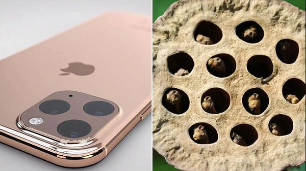 എന്താണ് ട്രൈപോഫോബിയ