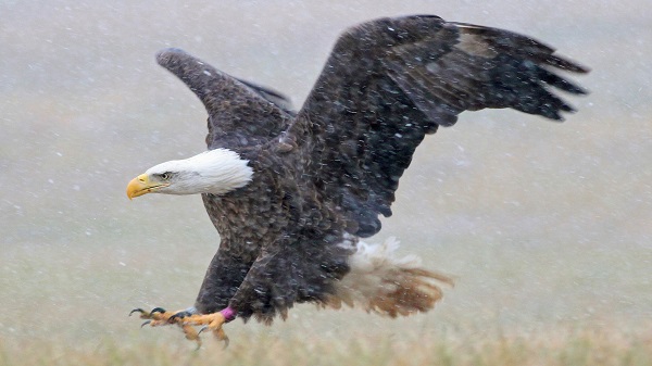 കസാകിസ്ഥാനിൽ