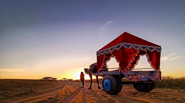 48 എംപി ക്വാഡ് ക്യാമറ ഉപയോഗിച്ച് ദൃശ്യത്തെ കൂടുതൽ മികവോടെ പിടിച്ചെടുക്കുന്നു