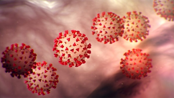 ഗൂഗിൾ പ്ലേ 