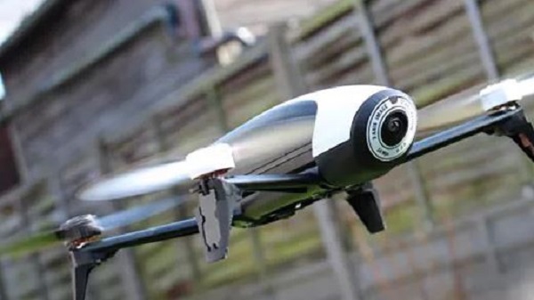 പാരറ്റ് ബെബോപ് 2