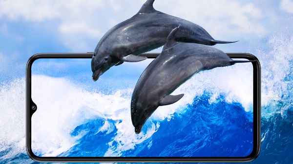 ഇൻഫിനിക്സ് സ്മാർട്ട് 5: സവിശേഷതകൾ