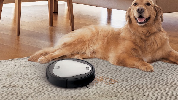 എമ്മ പെറ്റ്