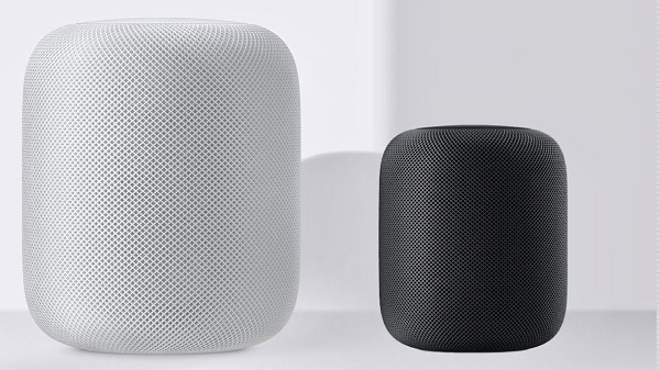 ഹോംപോഡ് മിനി