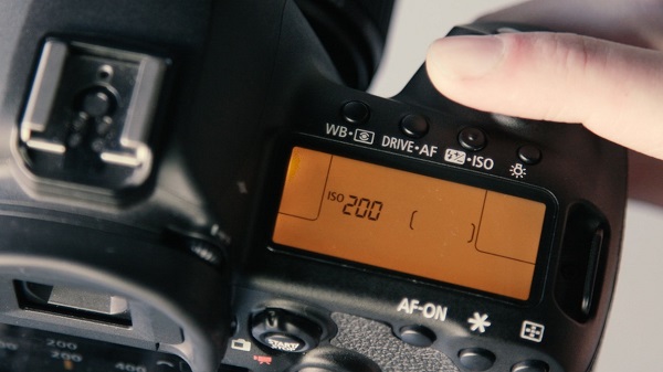 ഐഎസ്ഒ സെൻസിറ്റിവിറ്റി