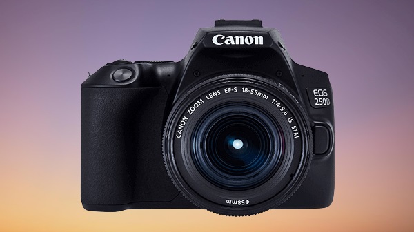 കാനൺ EOS 250D