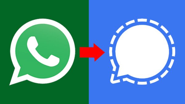 ഓൺ‌ലൈൻ, ലാസ്റ്റ് സീൻ 