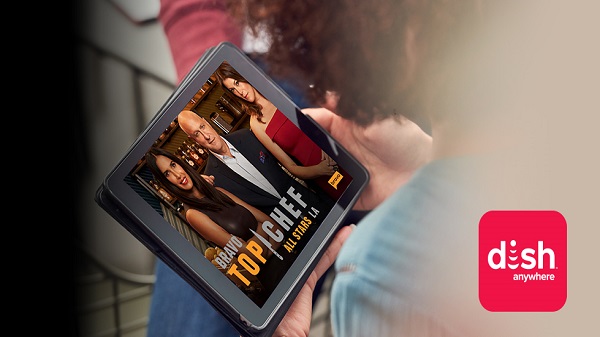 സെർച്ച് 