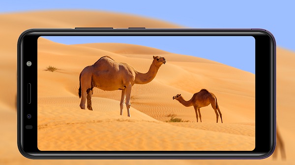 ഐടെൽ എ47: സവിശേഷതകൾ