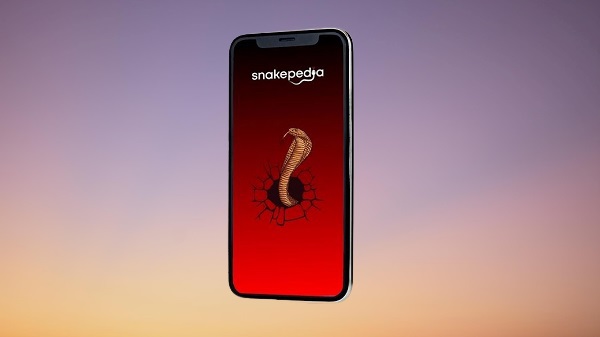 വെബ് ആപ്പ്