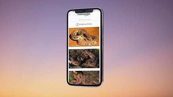 വാട്സ്ആപ്പ് ഗ്രൂപ്പുകൾ