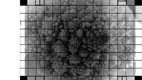 ഈ ക്യാമറ ഉപയോഗിച്ച് പകർത്തിയ റോമനെസ്കോ (ഒരുതരം പച്ചക്കറി) യുടെ ചിത്രം 