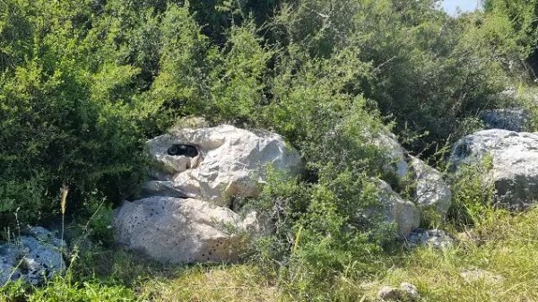 സാങ്കേതികവിദ്യ 