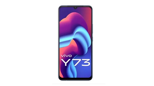 വിവോ വൈ73: സവിശേഷതകൾ