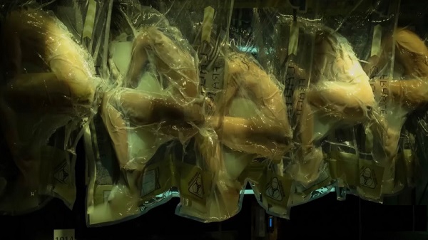 മരണമില്ലാത്ത അവസ്ഥയ്ക്ക് സാക്ഷിയായി 2384