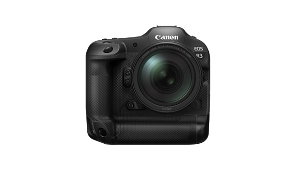 ഇൻ-ബോഡി ഇമേജ് സ്റ്റെബിലൈസേഷൻ