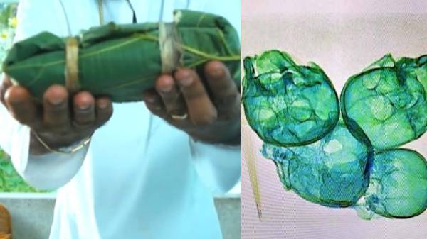 സമ്മാനപ്പൊതിയുടെ രൂപത്തിൽ 