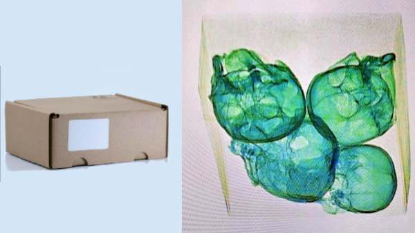 സ്വർണ്ണവർണ്ണത്തിലെ പൊതിക്ക് 