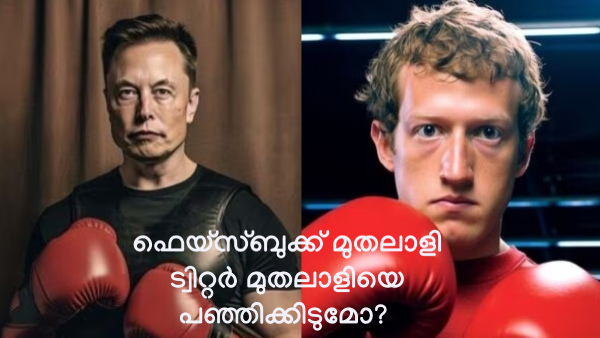 മസ്ക് x സക്കർബർഗ് ഇടി: തല്ലിക്കോ, അ‌ടവ് പഠിപ്പിക്കാമെന്ന് ടേറ്റ്