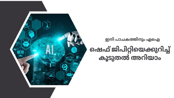 ആകെ ഉള്ളത് വെണ്ടയ്ക്ക, ഇതുകൊണ്ട് എന്തൊക്കെ ഉണ്ടാക്കാൻ സാധിക്കും? 
