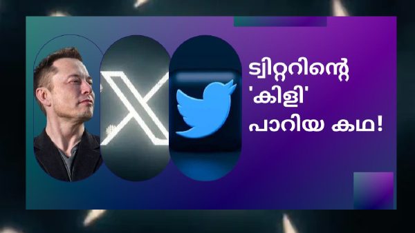 ട്വിറ്ററിന്റെ 'കിളി' പറന്നു! എന്തുകൊണ്ട്? 