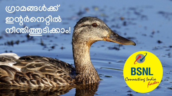 പുത്തൻ ബിഎസ്എൻഎൽ ബ്രോഡ്ബാൻഡ് പ്ലാന് വില വെറും 249 രൂപ!