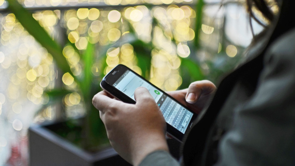 ഈ മെസേജ് കണ്ടാൽ എന്നെ തിരിച്ചുവിളിക്കണം:വാട്സ്ആപ്പിൽ പുതിയ തട്ടിപ്പ്