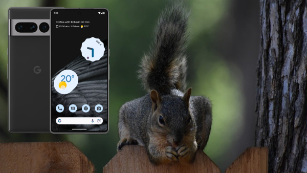 ഗൂഗിളിന്റെ ഈ മുന്തിയ ഫോണിന് ഫ്ലിപ്പ്കാർട്ടിൽ 19000 രൂപ ഡിസ്കൗണ്ട്