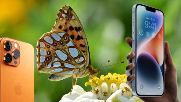 മമ്മൂട്ടിയെപ്പോലെ 'ഗ്ലാമർ' നിലനിർത്താൻ ഐഫോൺ 14 സീരീസിൽ പൊടി​ക്കൈ!