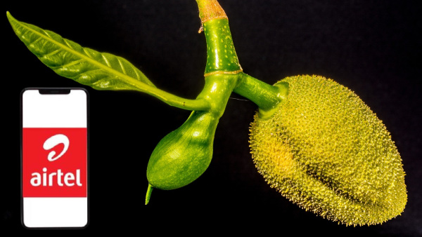 മത്സരം മുറുകി, എയർടെൽ 99 രൂപയുടെ പ്ലാൻ പരിഷ്കരിച്ചു