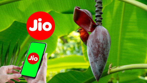 ലക്ഷത്തിൽ ഒരാൾ മാത്രം വാങ്ങിയേക്കാവുന്ന ഒരു ജിയോ പ്ലാൻ!